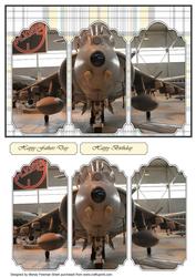 Harrier in Hanger