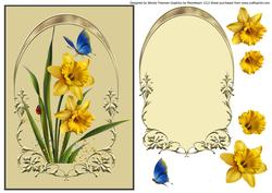 Daffodil and Butterfly