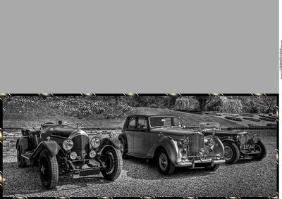 Vintage Bentley Cars Large Dl Card