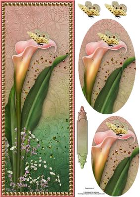 Lily & Butterfly Large Dl Card with Oval Pyramage
