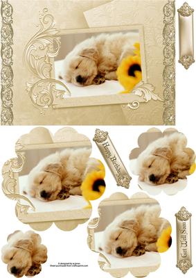 Its a Puppy's Life with Flower Shape Pyramage