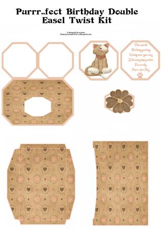 Purrr Fect Birthday Double Easel Twist Kit