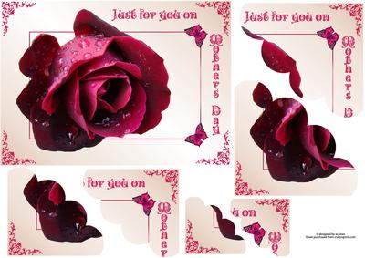 Mother's Day Rose