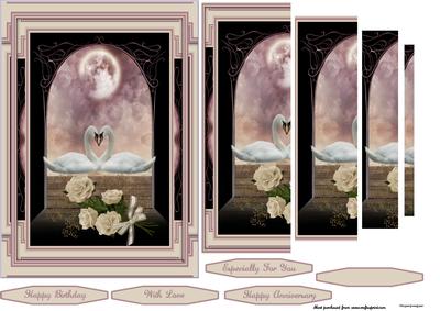 Swans & Roses
