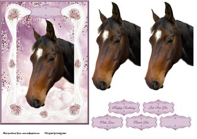 Florals & Horse