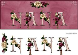 Rose Nana Large Dl Card with Decoupage