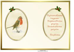 Christmas Robin Insert with Verse