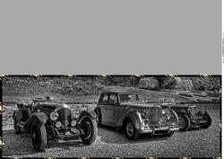 Vintage Bentley Cars Large Dl Card