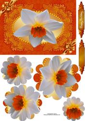Flaming Daffodil with Flower Shaped Pyramage
