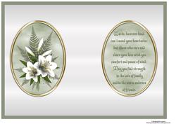 White Lily's Sympathy Insert with Verse