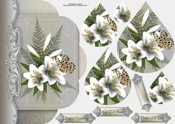 Butterfly Lily's Fancy Edge with Teardrop Pyramage