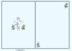 Cross and Lily's Insert