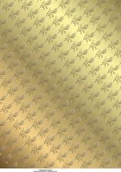 Floral Lace Background 2