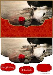 Curiosity Fancy Edge Envelope Card