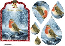 Winter Robin Fancy Top