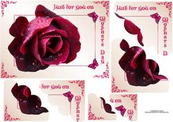 Mother's Day Rose