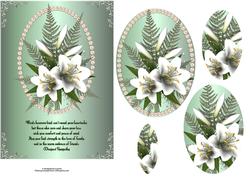 Lily's and Pearl Sympathy