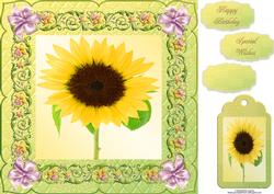 Sunflower