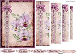 Orchids and Lace