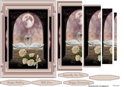 Swans & Roses