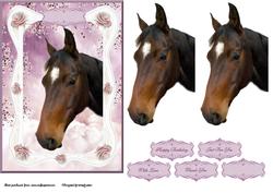 Florals & Horse