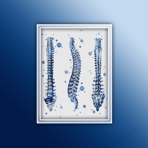 Anatomy Spine 1 Cross Stitch Pattern