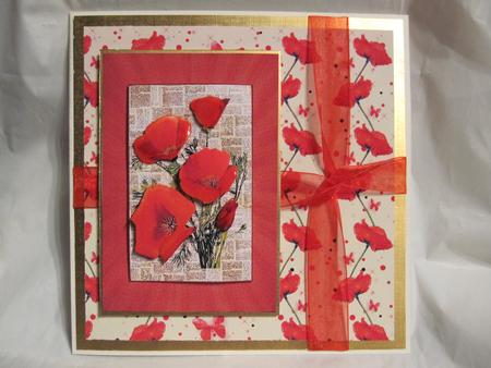 Californian Poppies, Red by LORRAINE PROUD