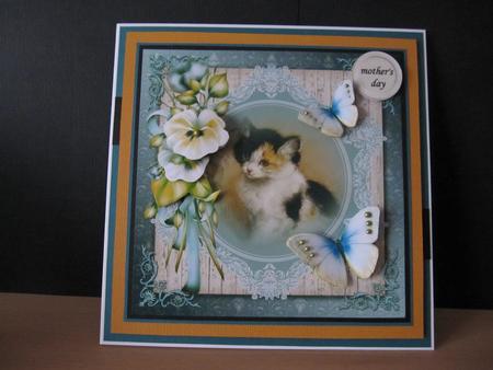 Cat and Butterflies by LORRAINE PROUD
