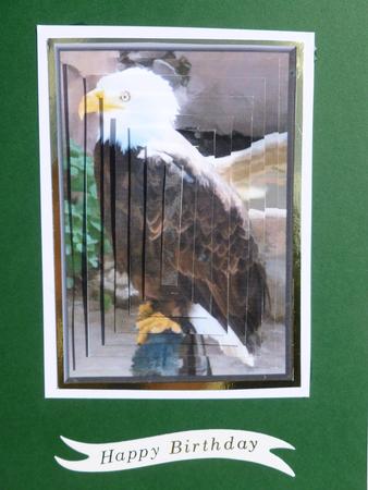 Bald Eagle Pyramid by Nicky Thorne