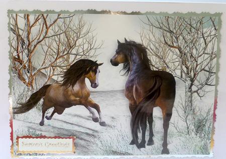 Playful Wild Horses in the Snow A4 by Nicky Thorne
