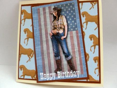 Cowboy & Cowgirl Papers by Nicky Thorne