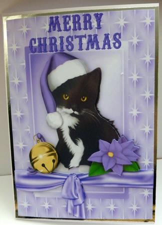 Cute Kitten in Santa Hat with Star Frame by Nicky Thorne
