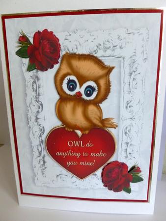 Owl Do Anything to Make You Mine! Cute Owl with Roses A4 by Nicky Thorne