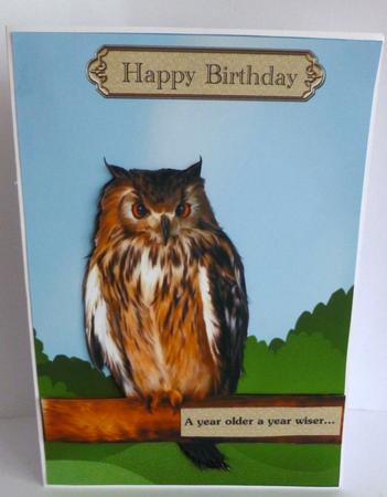 Wise Owl Birthday Male Card by Nicky Thorne