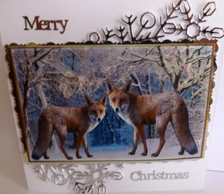 Fox Toppers, Arctic Fox, Red Fox, White Fox by Nicky Thorne