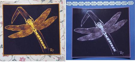 Dragonfly X2 by Carmelina Borg Cuschieri