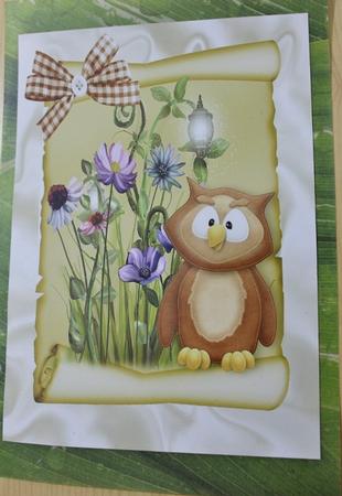 Cute Little Owl with Flowers on A4 Scroll A4 by Carmelina Borg Cuschieri