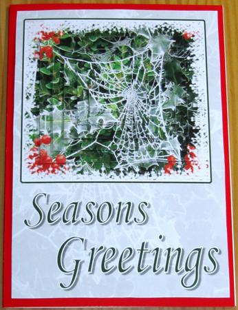 Frosty Web by Jenny Orpwood