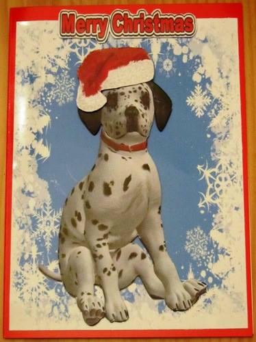 Can I Wear My Santa Hat by Jenny Orpwood