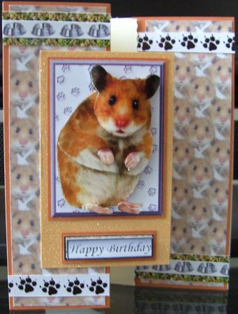 Hamster 3D Decoupage with Background by Julie Morgan