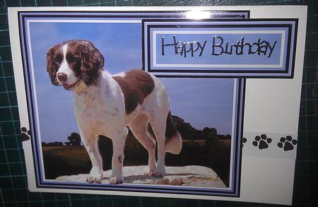 Springer Spaniel Scene 3D Decoupage by Sheila Morrison