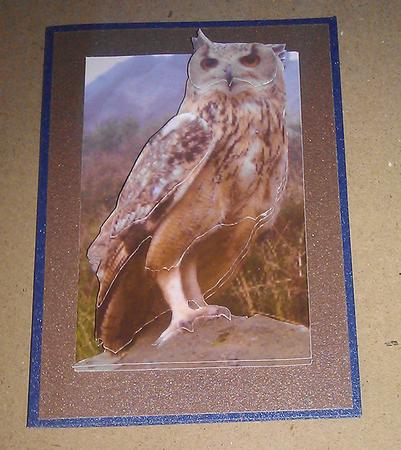 Eagle Owl Step by Step by Sheila Morrison