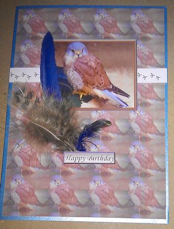 Kestrel 3D Decoupage with Background by Sheila Morrison