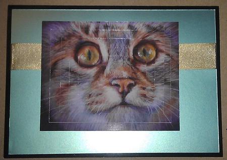 Whats New Pussy Cat - Pyramid by Sheila Morrison