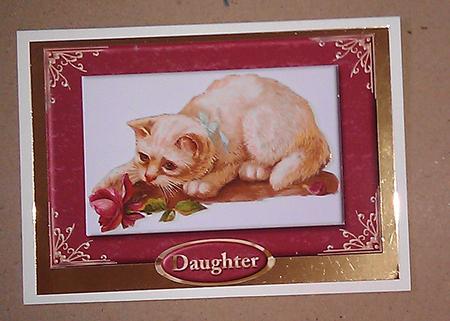 Cute Cat with Rose Card Front & Various Sentiments by Sheila Morrison