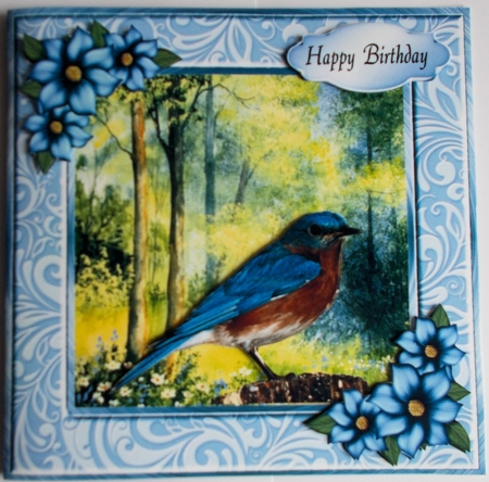 Blue Bird by Sharon Wilson