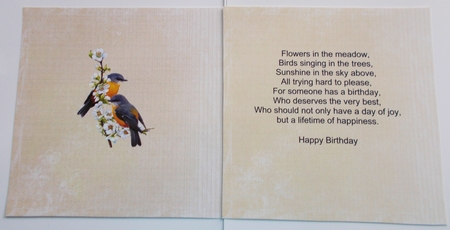30 Pastel 8x8 Backgrounds by Sharon Wilson