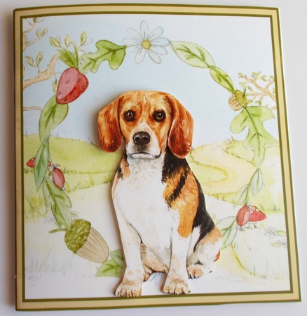 The Beagle dog by Sharon Wilson