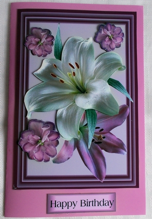beautiful lilies by Sharon Wilson