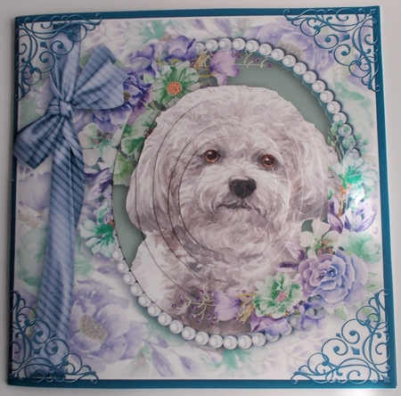 cute Dog collection by Sharon Wilson